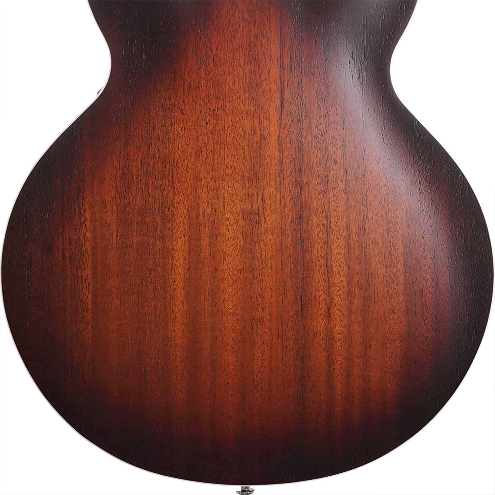 EART E-335 Open Pore Tobacco Sunburst Hollowbody Guitar - Image 8