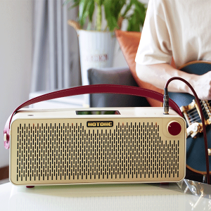 Hotone Pulze Luna Compact Bluetooth Modelling Amp & Including Gig Bag